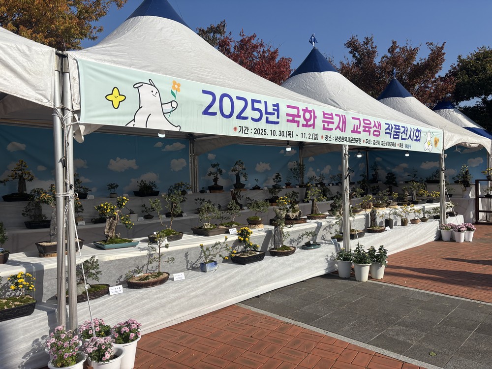 국화분재 작품 전시회 개최