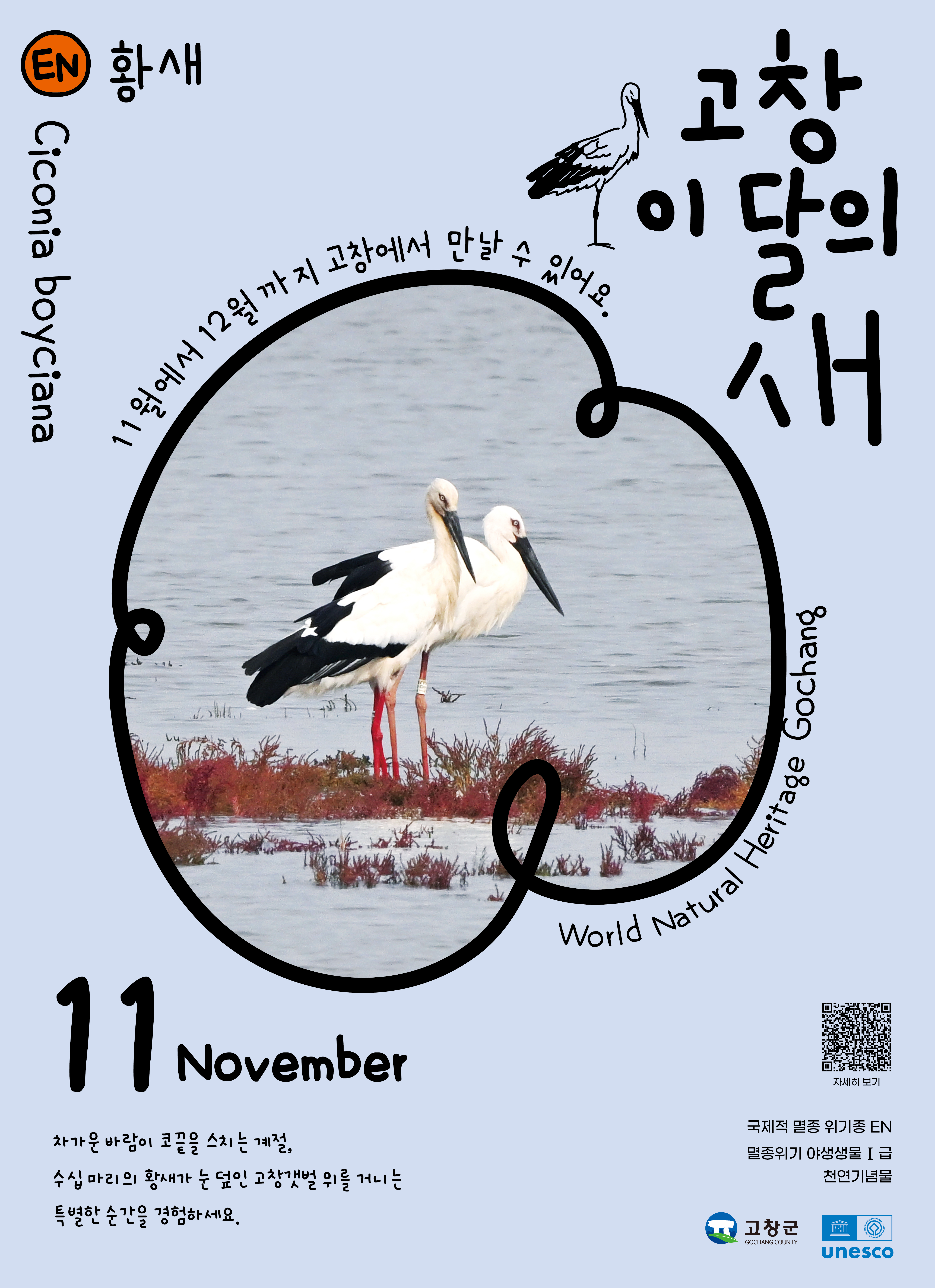 고창군, 11월 고창갯벌 이달의 새로 ‘황새’ 선정