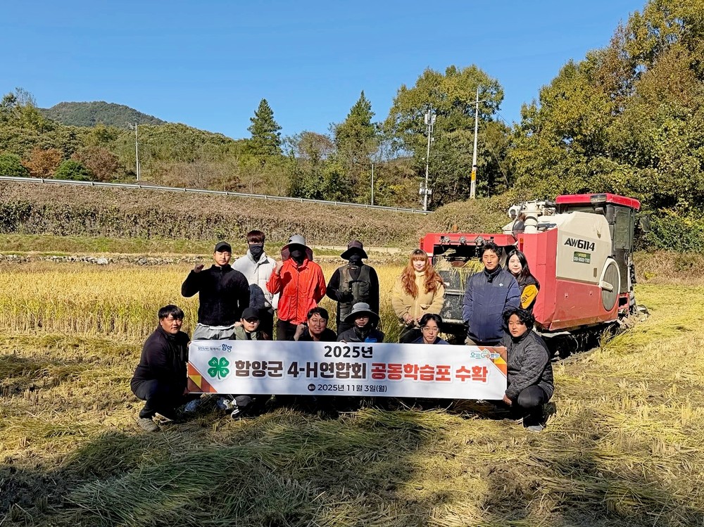 함양군 4-H연합회, 공동학습포 가루쌀 수확