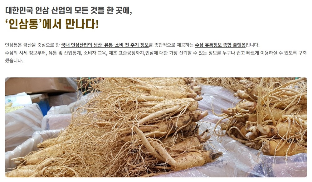 금산군 인삼통 홈페이지 전면 개편…인삼산업 디지털 플랫폼으로 새출발