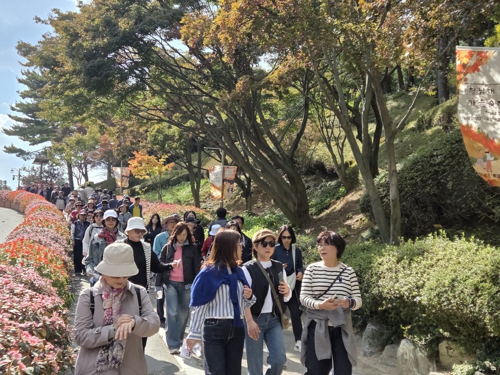 ‘청남대 가을축제’ 역대 최다 관람객 연일 북적
