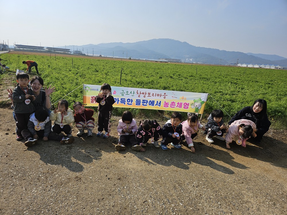 금오산찰쌀보리정보화마을, 흙 속 보물 찾기 '어린이 당근 수확' 체험