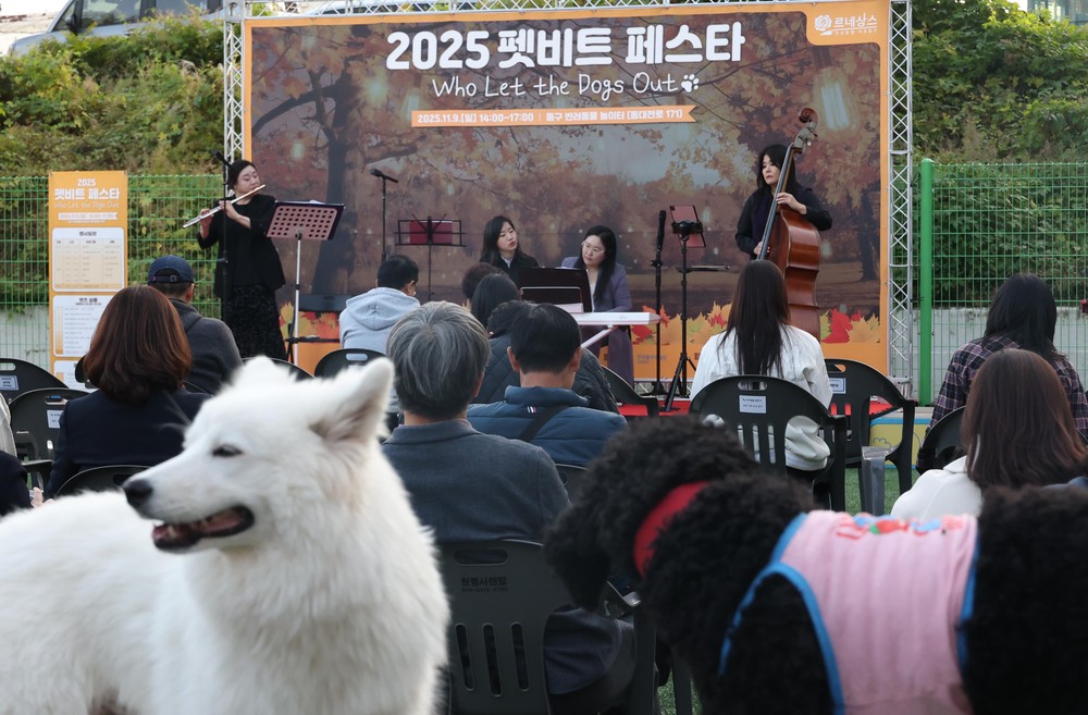 대전 동구, 반려가족 한자리에… ‘2025 펫비트 페스타’ 성황리 개최