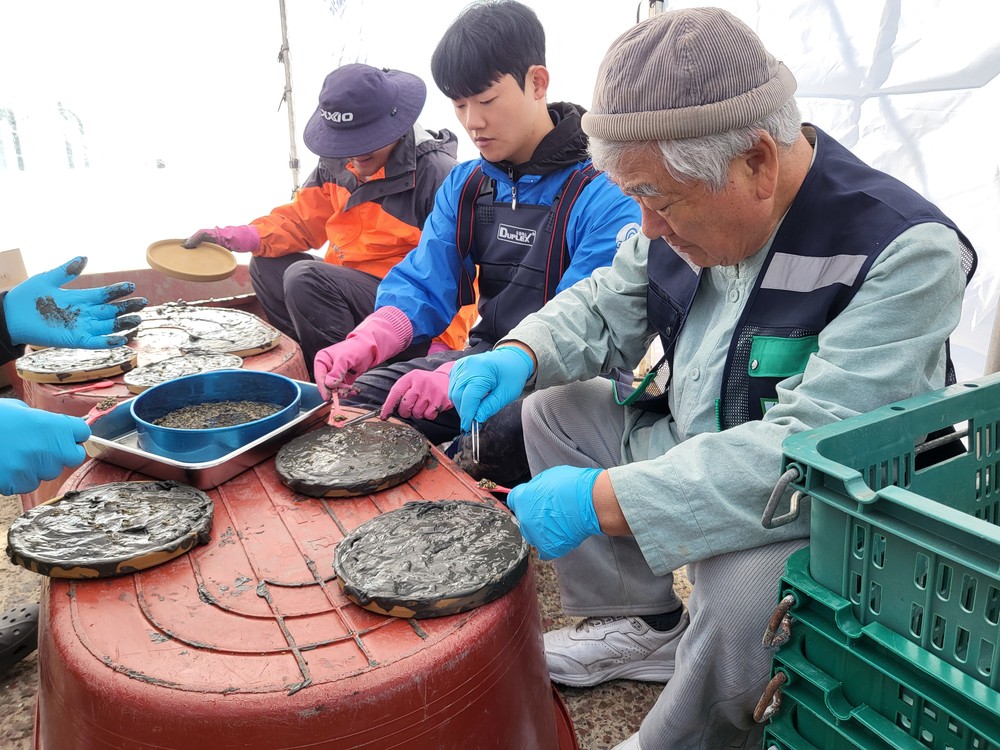 KB 바다숲 조성사업, 사천시 대포 연안에 잘피 종자 15만개 파종