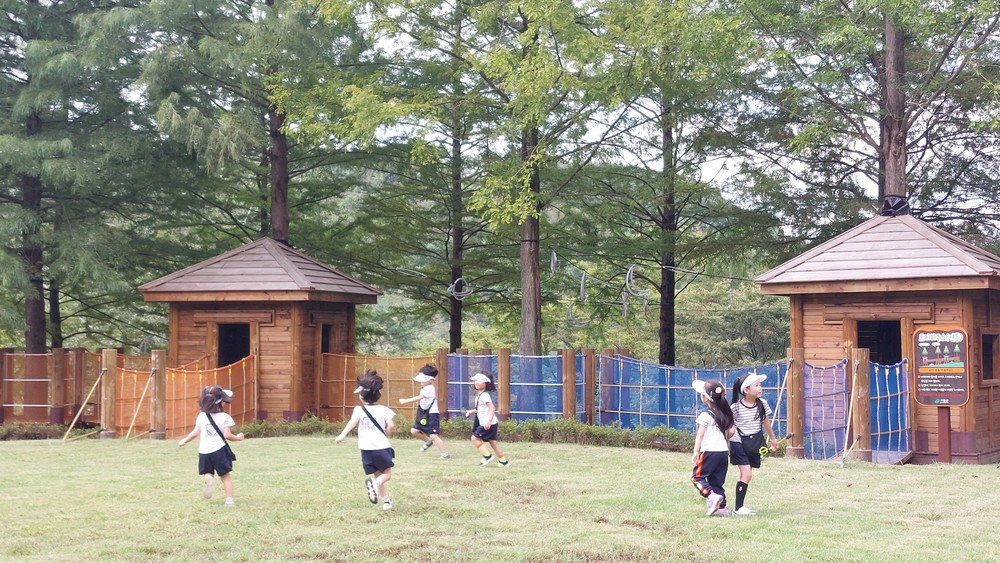 자연 속에서 배우는 첫걸음, 고령군 유아숲체험원 행복한 숲속 배움터로 인기