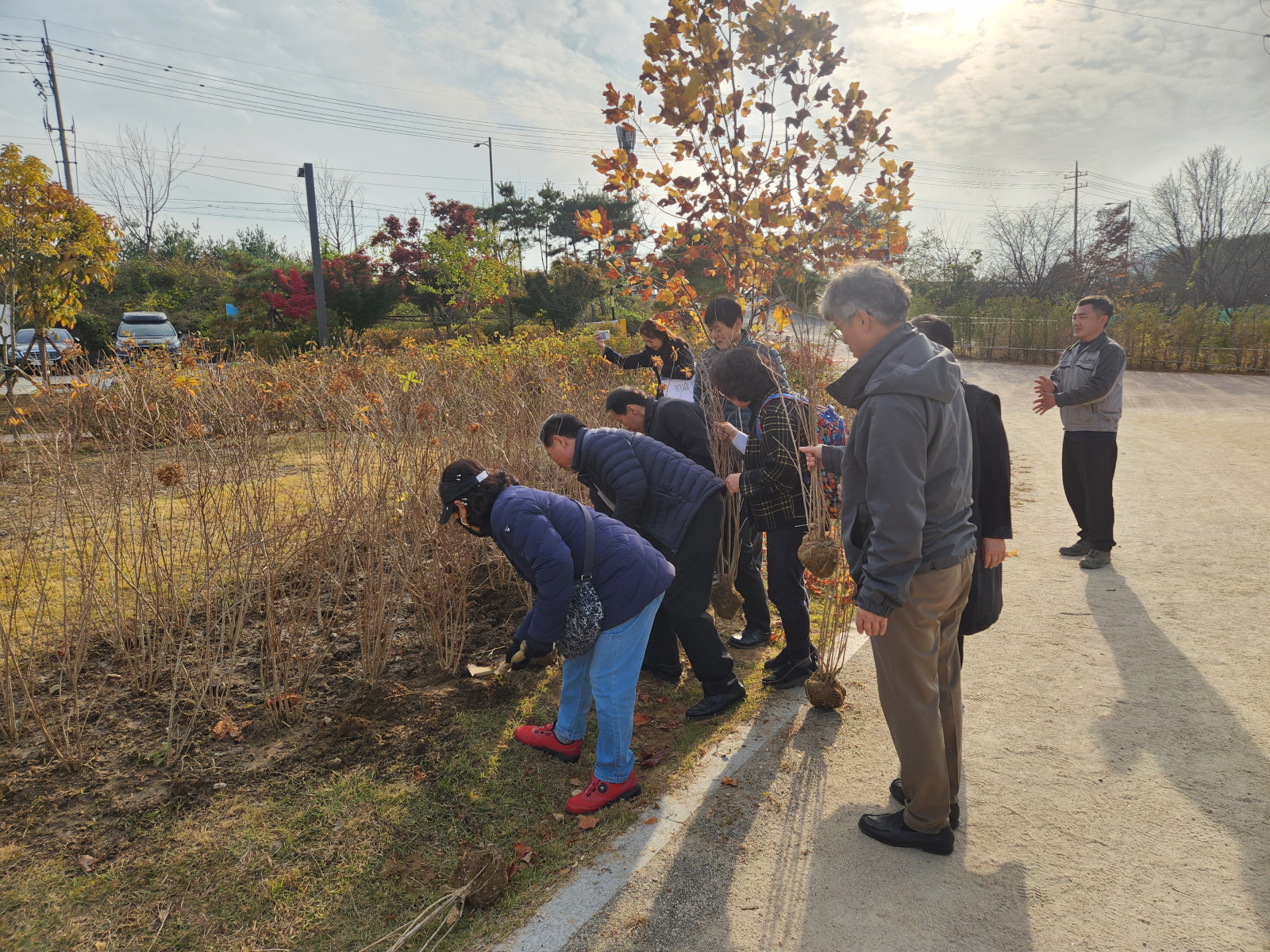 구리시 수택3동 주민자치회, 장자호수공원에 수국 100주 식재