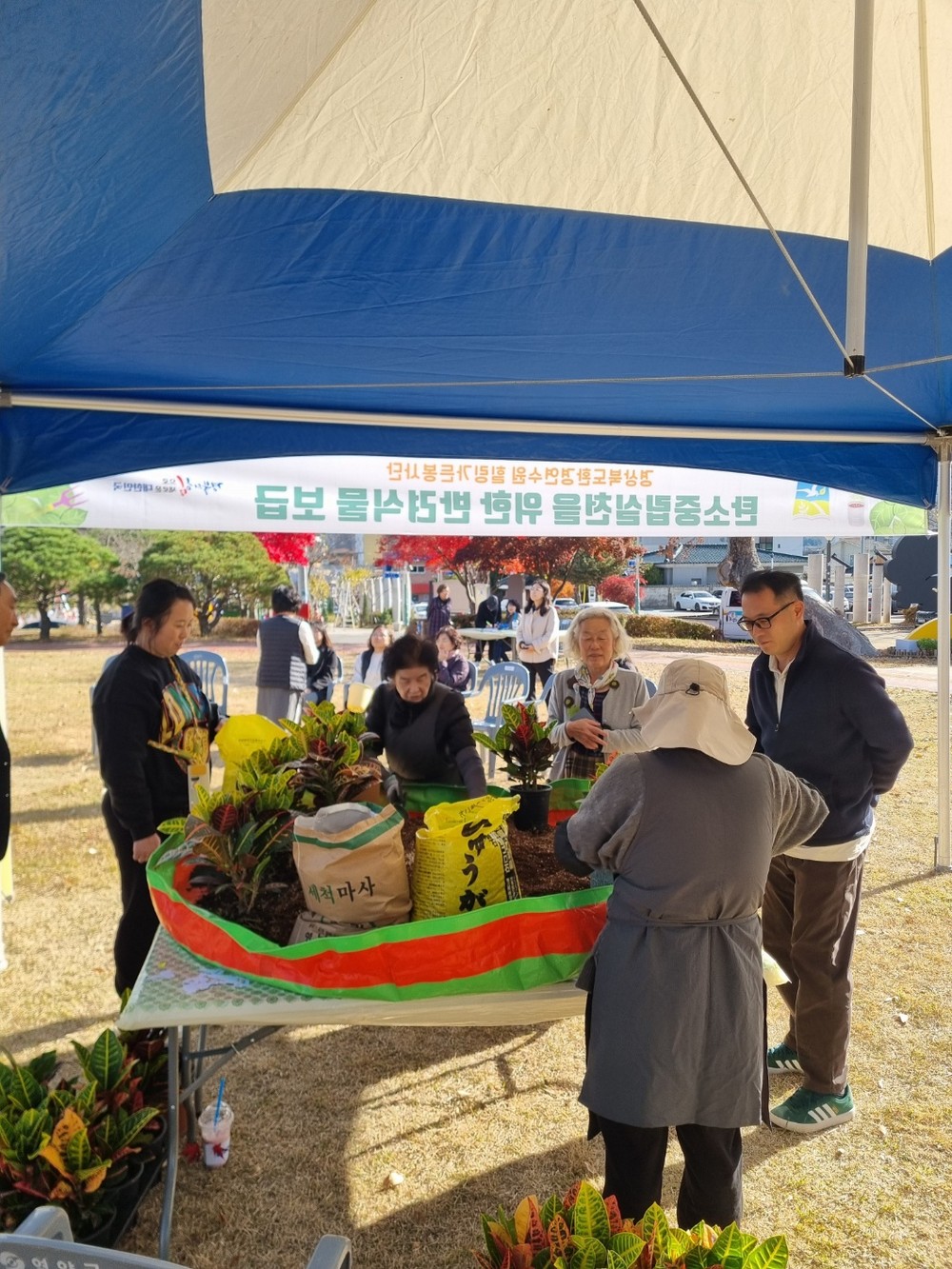 영양군, 탄소중립 실천을 위한 반려식물 보급행사 개최