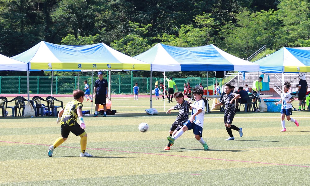 울진군에 전국 유소년 축구 꿈나무 모인다!