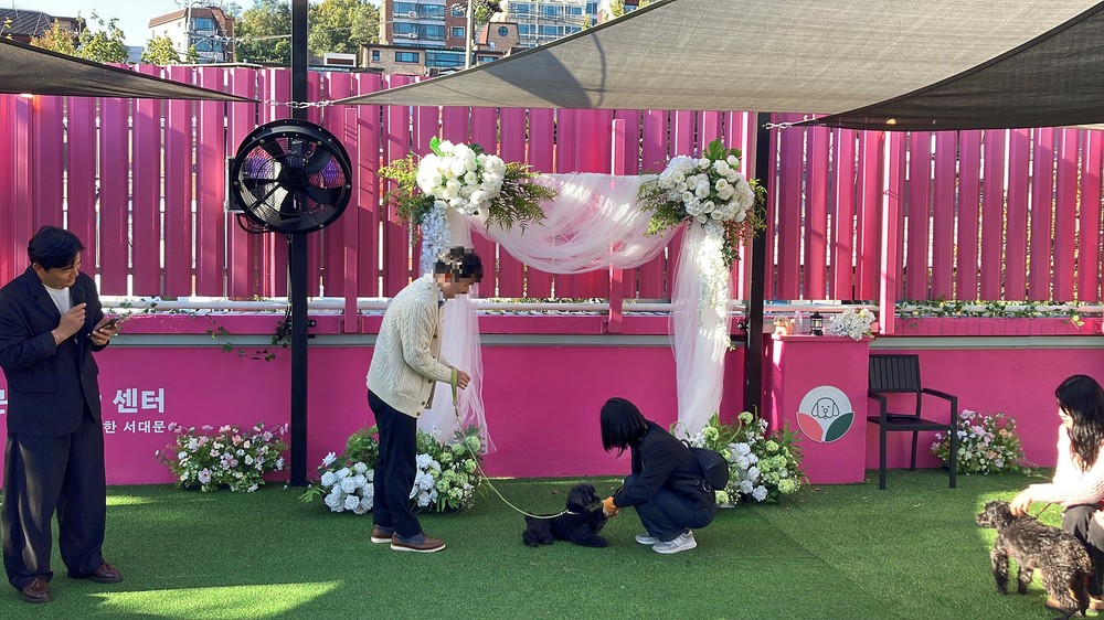 반려동물친화도시 서대문구, 반려견 매개 미혼남녀 만남 행사로 호평