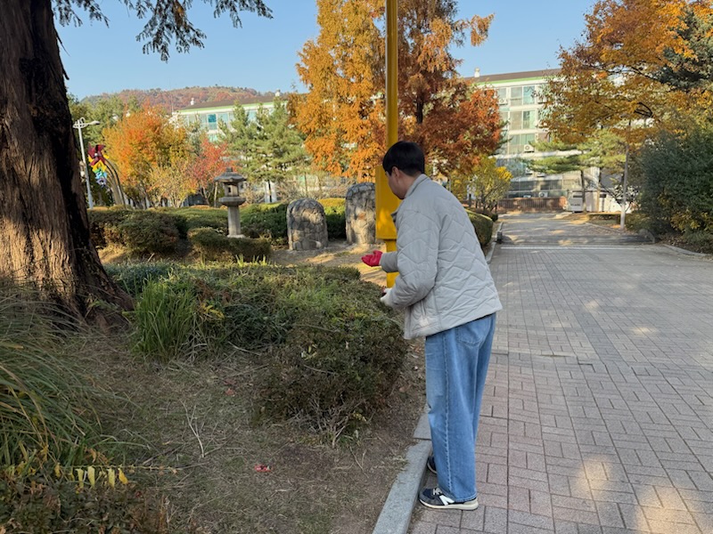연수구, 너구리 출몰 지역에 ‘광견병 미끼 예방약’ 살포