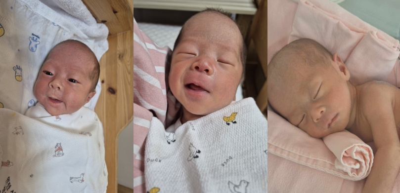 동두천시, 두 해 연속 세쌍둥이 탄생… 난임부부 지원 성과 빛나