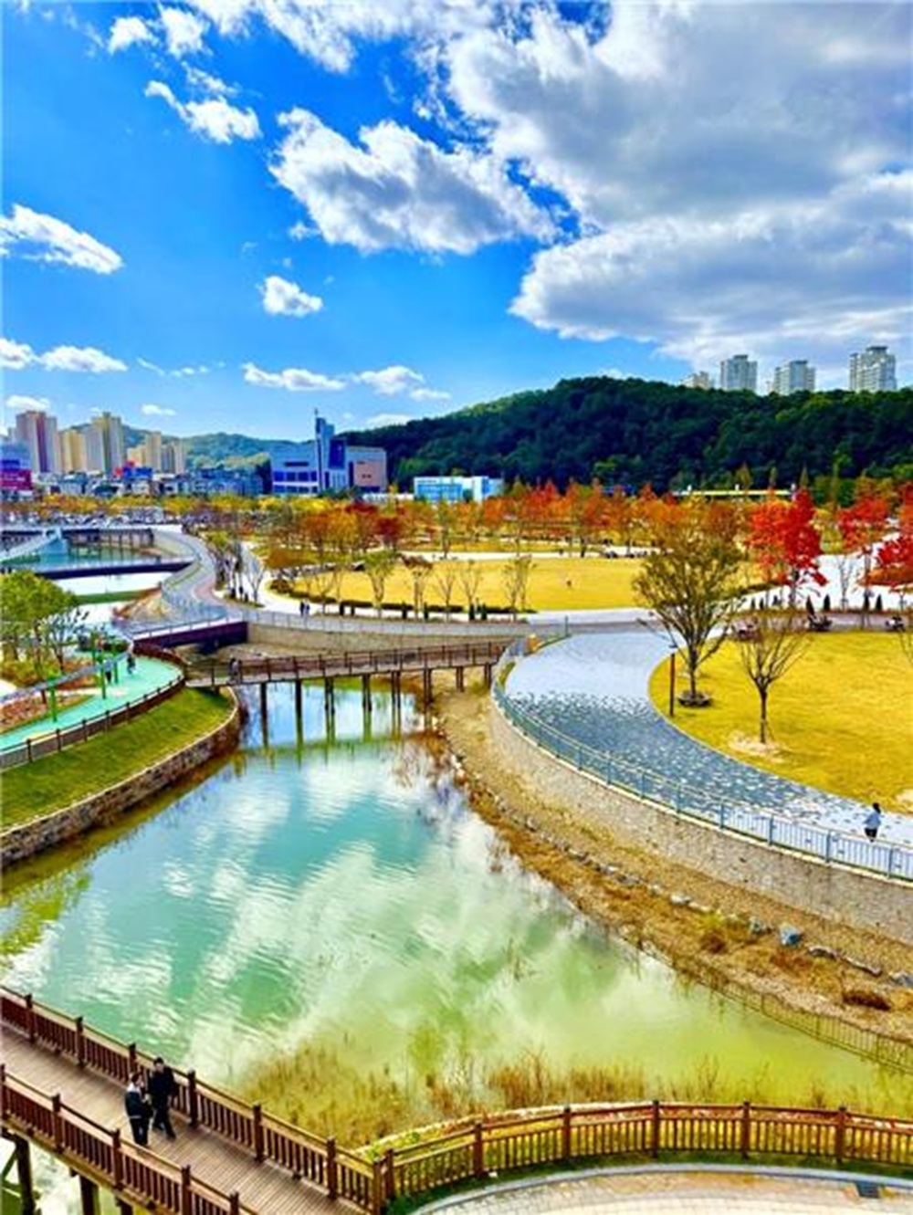 단풍따라 대전 한 바퀴… 어디를 가도 인생샷 명소
