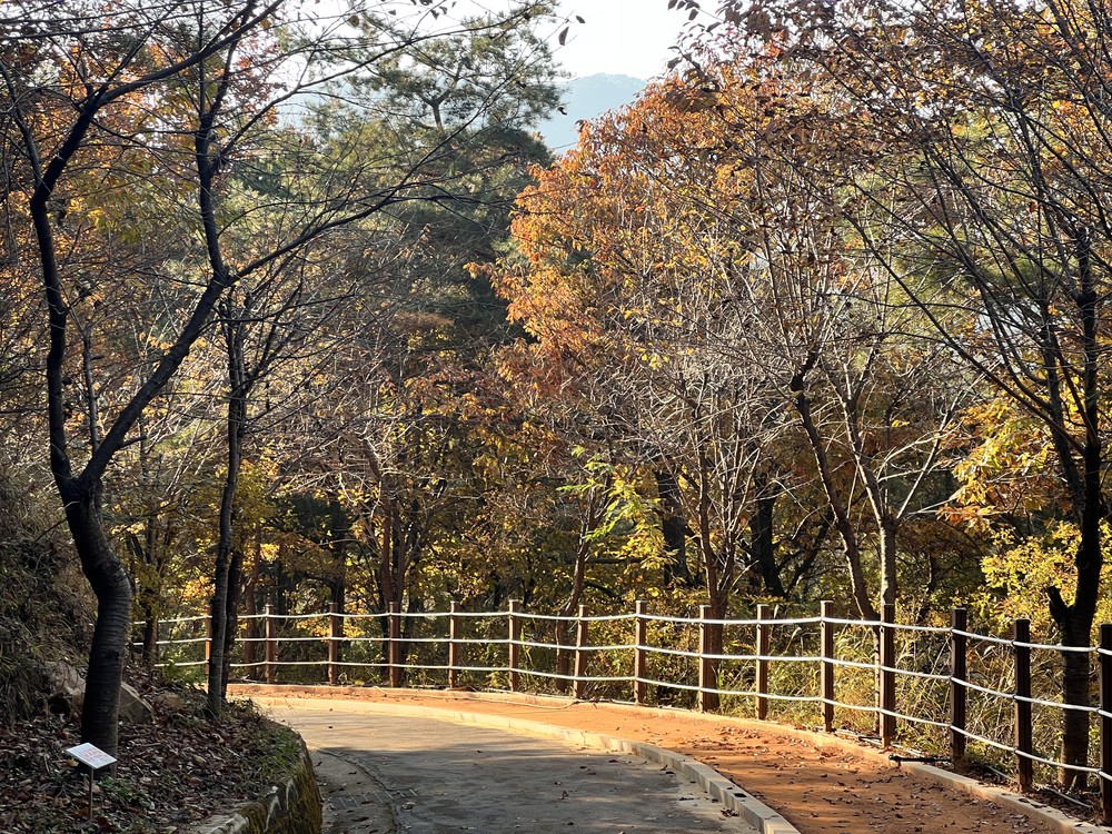 가을빛에 물든 성주봉자연휴양림