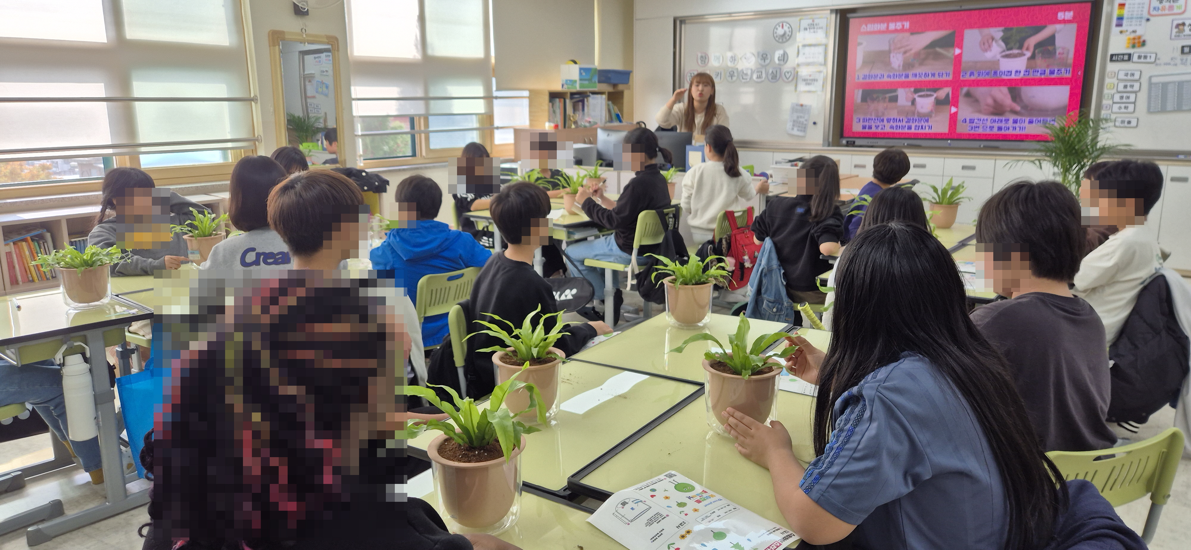 용산구, 초등학교 대상 ‘교실 속 숲 만들기’ 시범사업 운영
