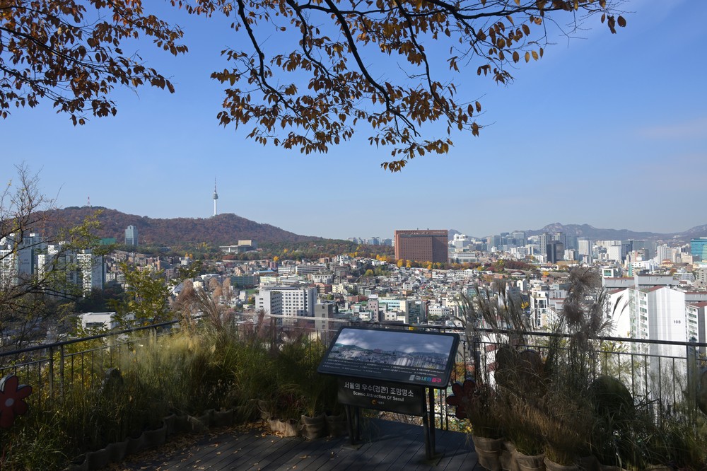 남산자락숲길, 탁월한 접근성과 다양한 코스로 '일상의 동반자' 역할