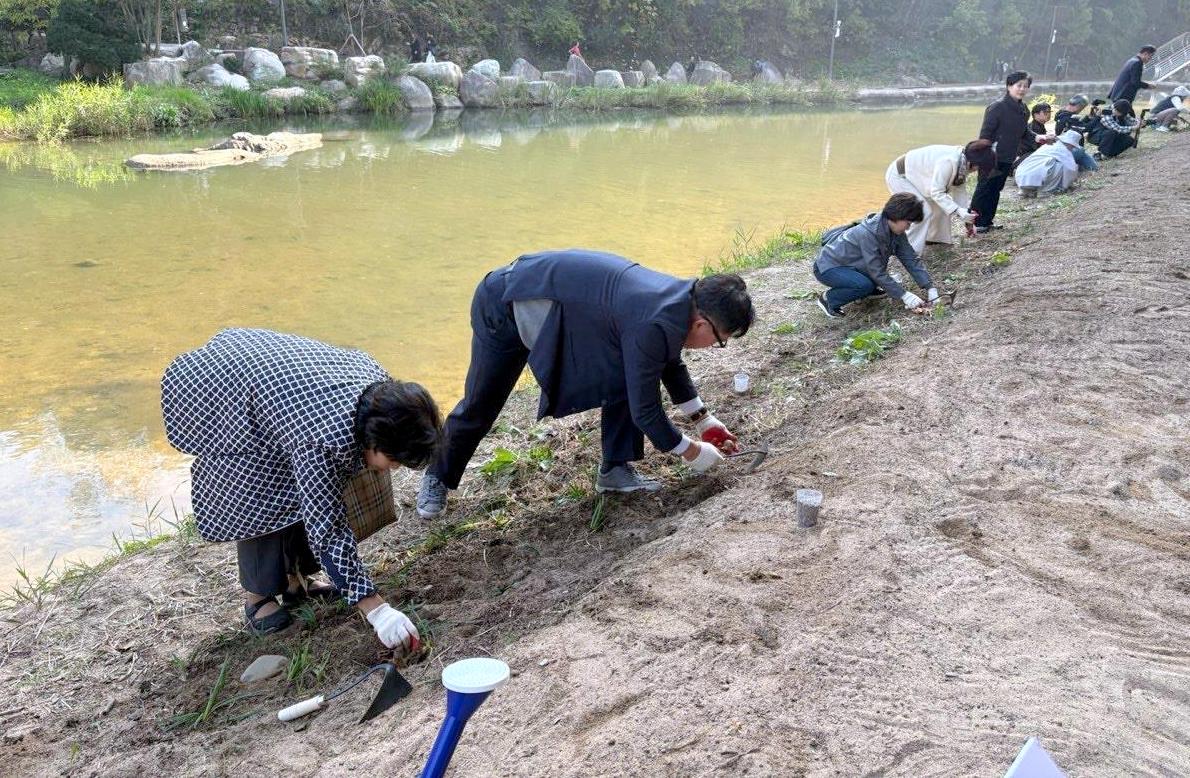 '홍제천, 시민의 손으로 꽃피다' 서대문구 야생화 파종 행사 개최