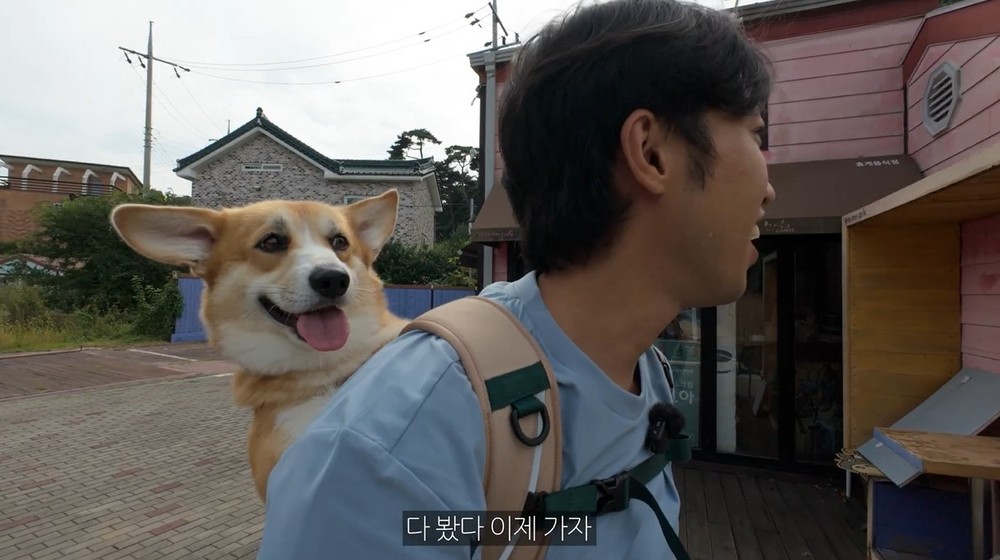 태안군 반려동물 동반여행 콘텐츠 공모전 마무리, 우수작 18편 선정