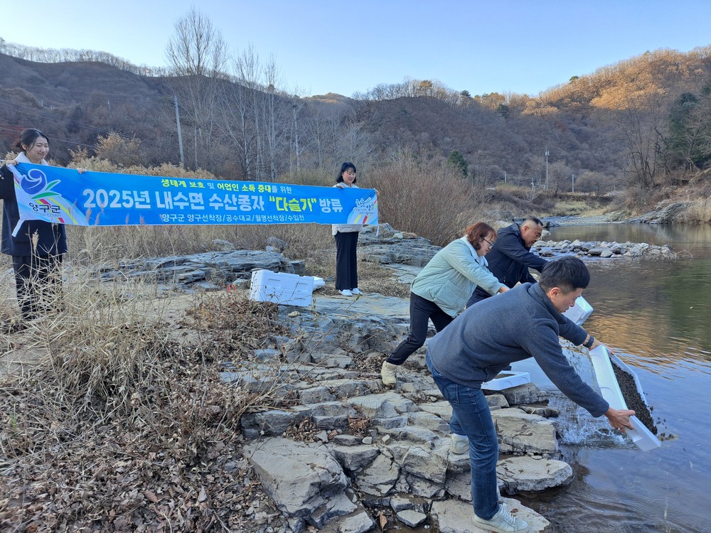양구군, 하천 생태계 건강성 회복 위해 다슬기 88만 마리 방류