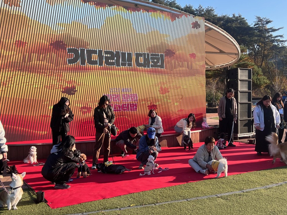 즐기며 배우는 ‘품격 있는 반려문화 콘텐츠’, 어질리티 체험·펫티켓 교육