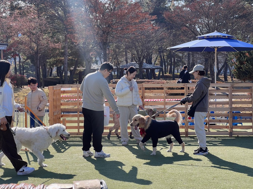 웃음과 참여가 넘친 핵심 이벤트, 간식빨리먹기·기다려 대회·장기자랑