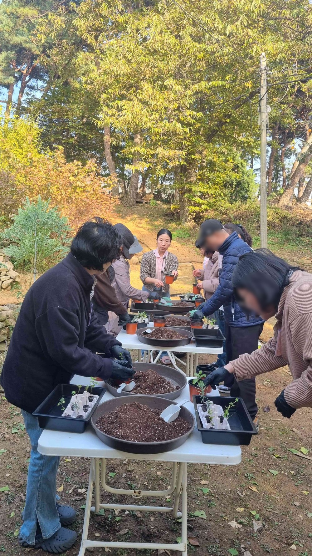 홍성군, 치유농업 프로그램 ‘눈길’