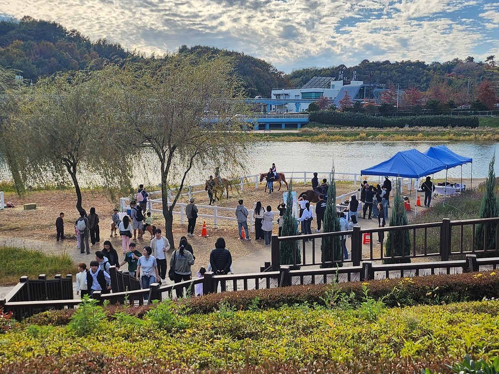 순천 도심승마체험, 3천명 참여 속 성황리 종료