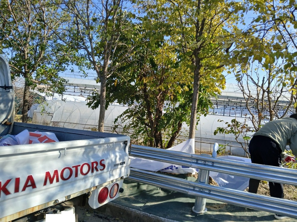 벽진면, 겨울 강풍·폭설 앞두고 불법 옥외광고물 정비 총력