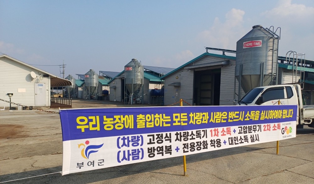 부여군, 동절기 가축 전염병 확산 우려에 따른 특별방역대책 본격 시행