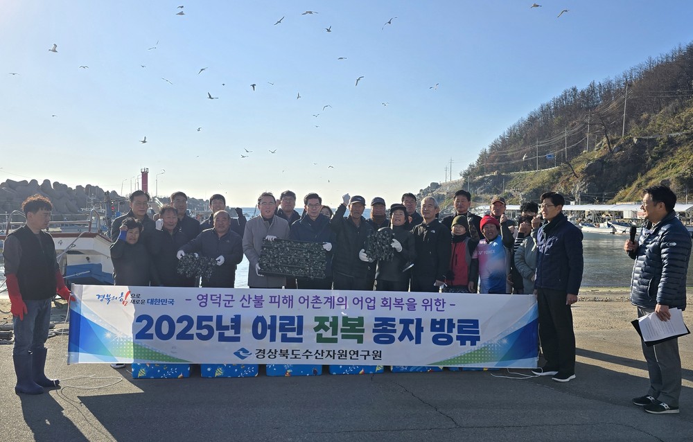 영덕군, ‘산불 피해 어촌계 회복’ 어린 전복 15만 마리 방류