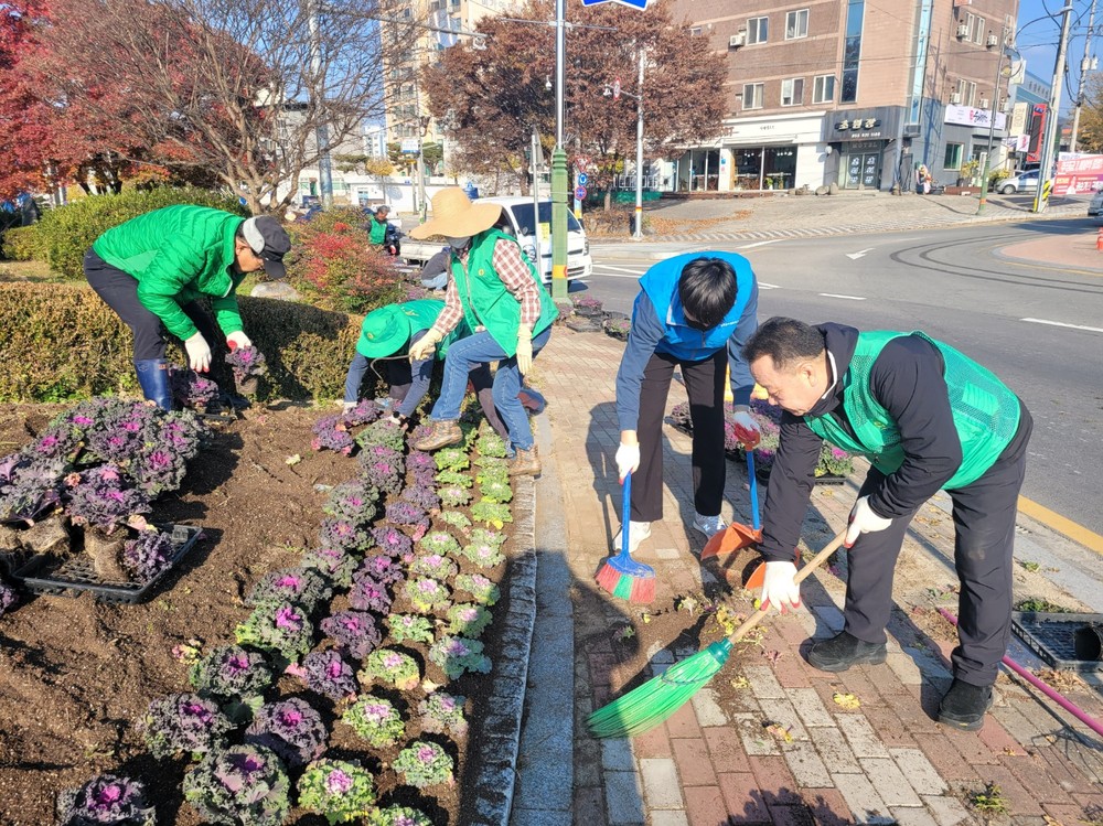 새마을운동 합천군지회, 아름다운 합천가꾸기 겨울꽃 식재 실시
