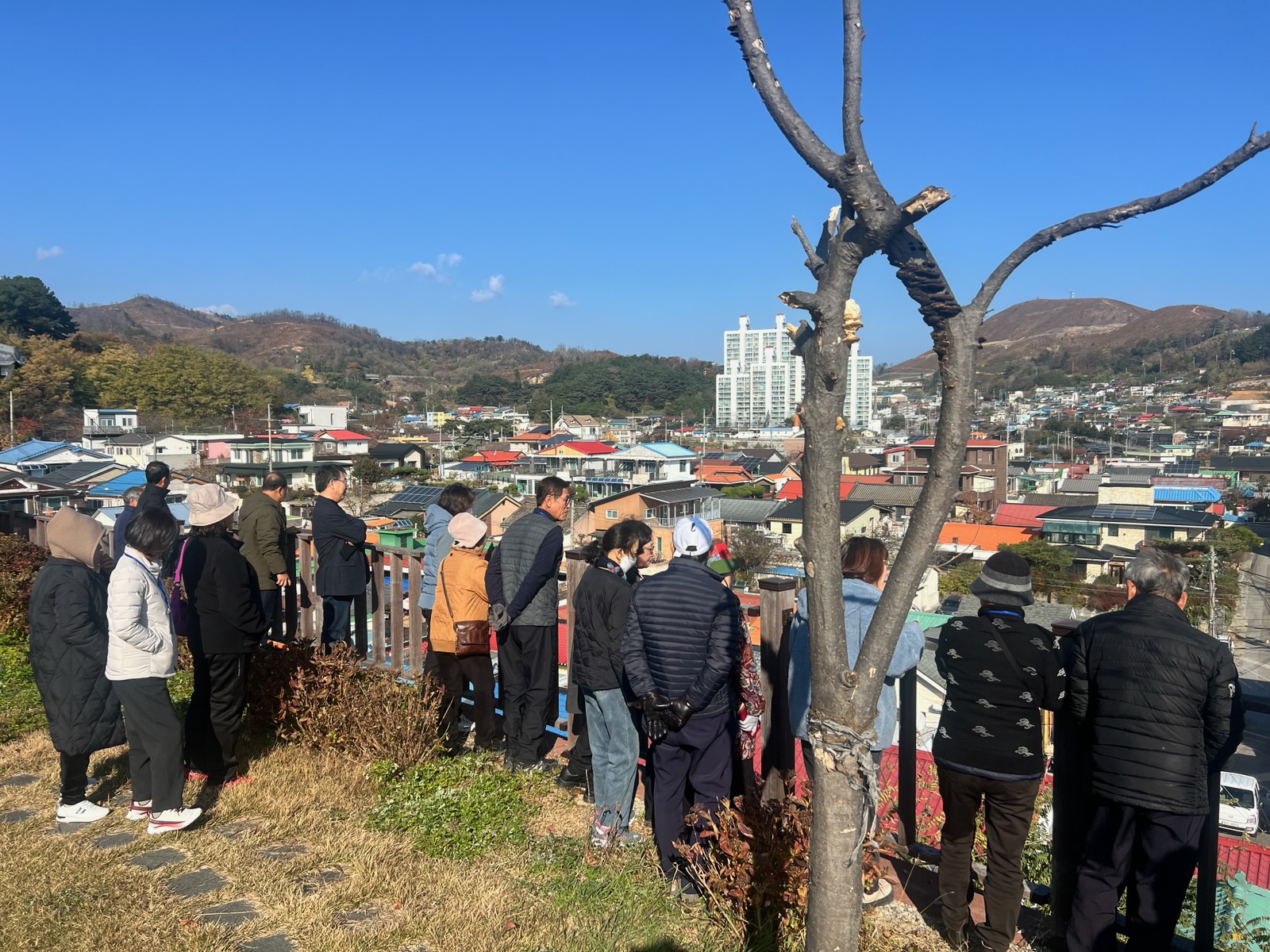 동해시 도시재생사업지, 타 지자체 벤치마킹 활발