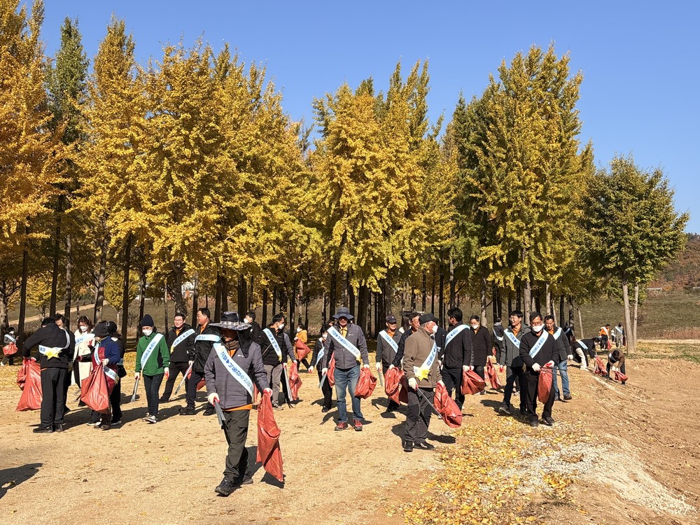 고령군, 다산 은행나무숲 환경정화캠페인 실시