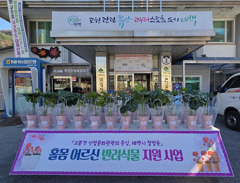 철암동, 홀몸 어르신 반려식물 지원사업 사진전시회 운영