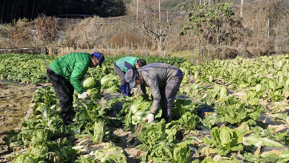 성주군, 미래성장동력 확보 및 재난예방, 맞춤형 복지에 중점 둔 2026년 예산 편성