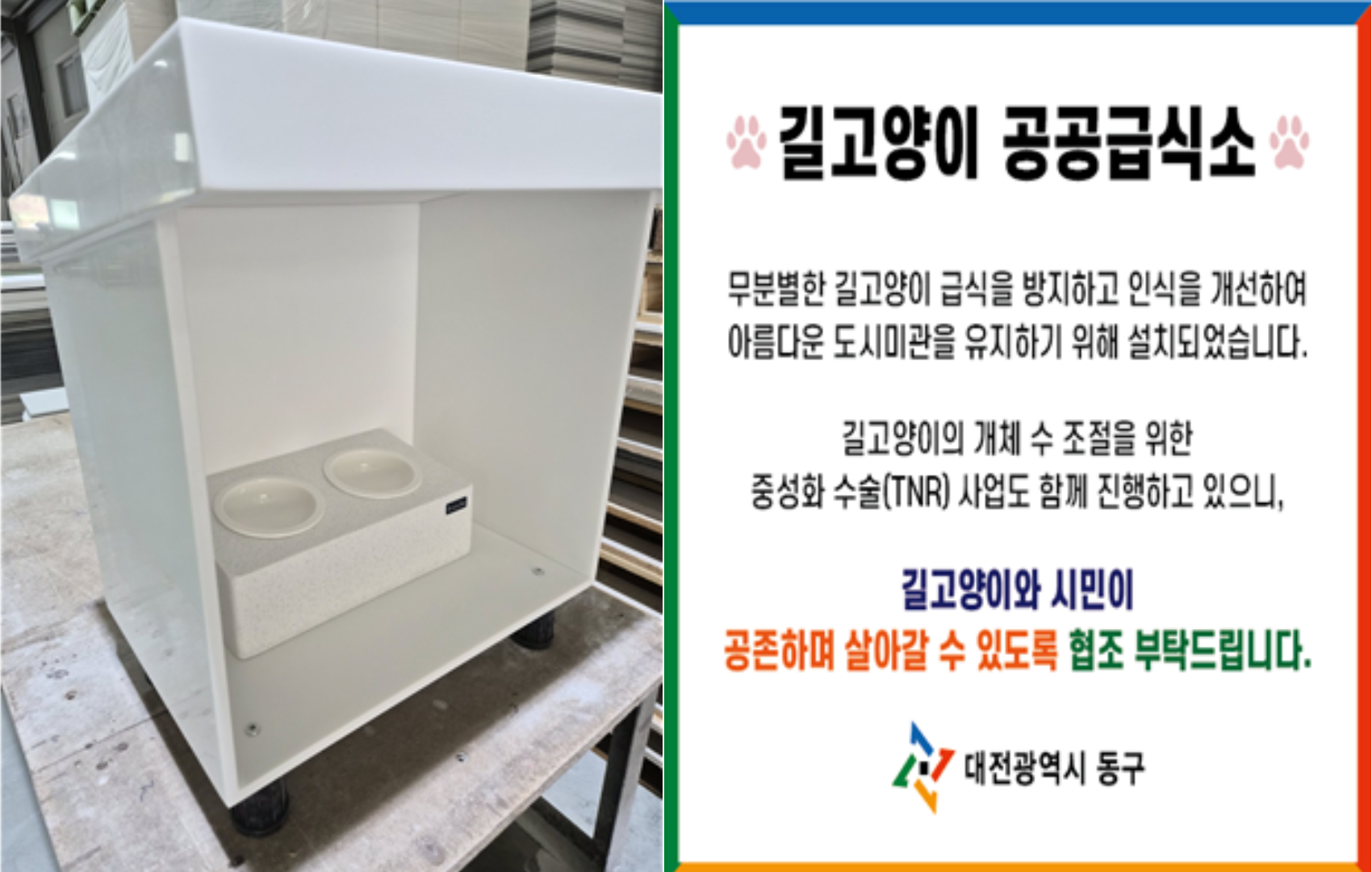 대전 동구, 길고양이 급식소 3곳 확충… 주민 불편 해소 기대