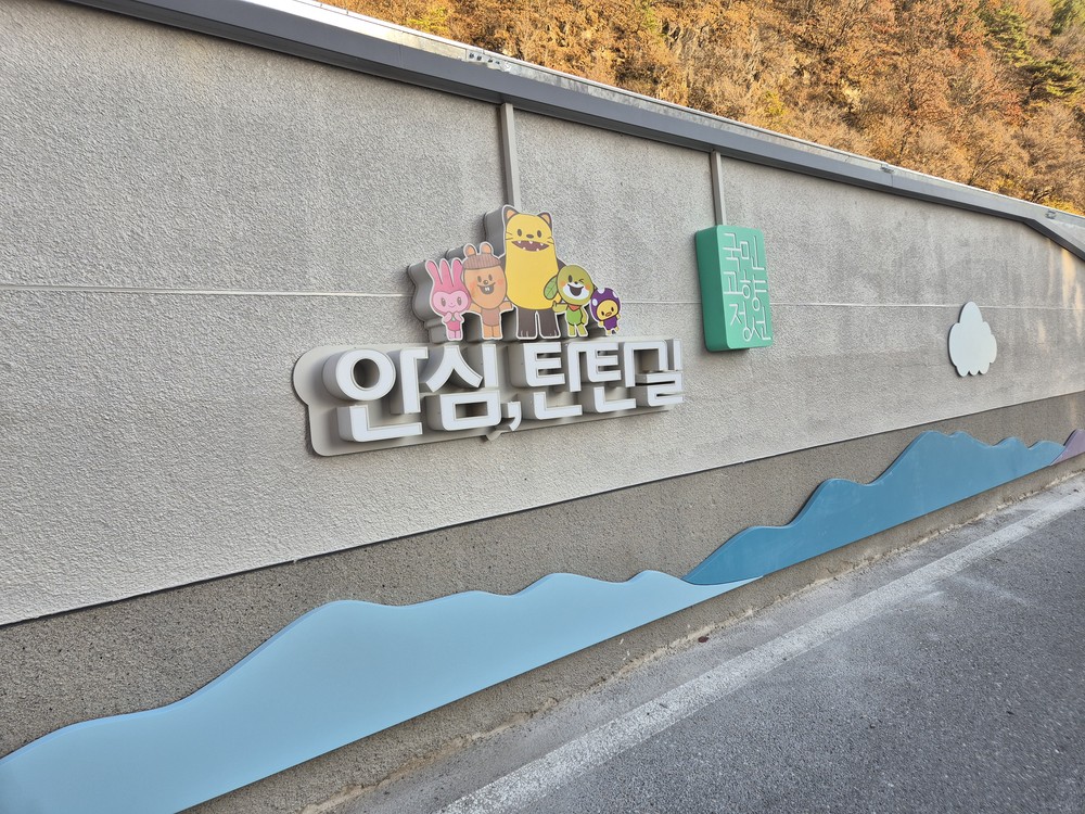 정선군, 안심 탄탄길 조성사업 완료 ‘여성·아동·노약자 안전 보행권 강화’