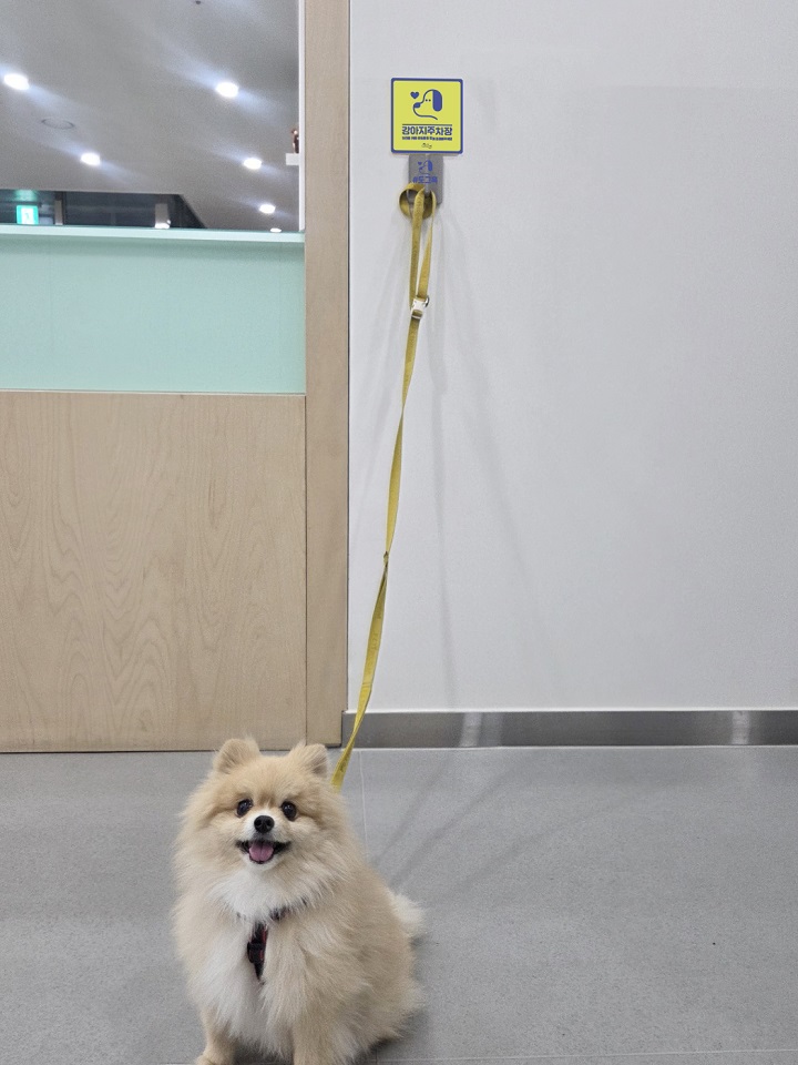 순천시, 반려동물 친화도시 조성 위한 ‘강아지주차장(도그훅)’ 설치