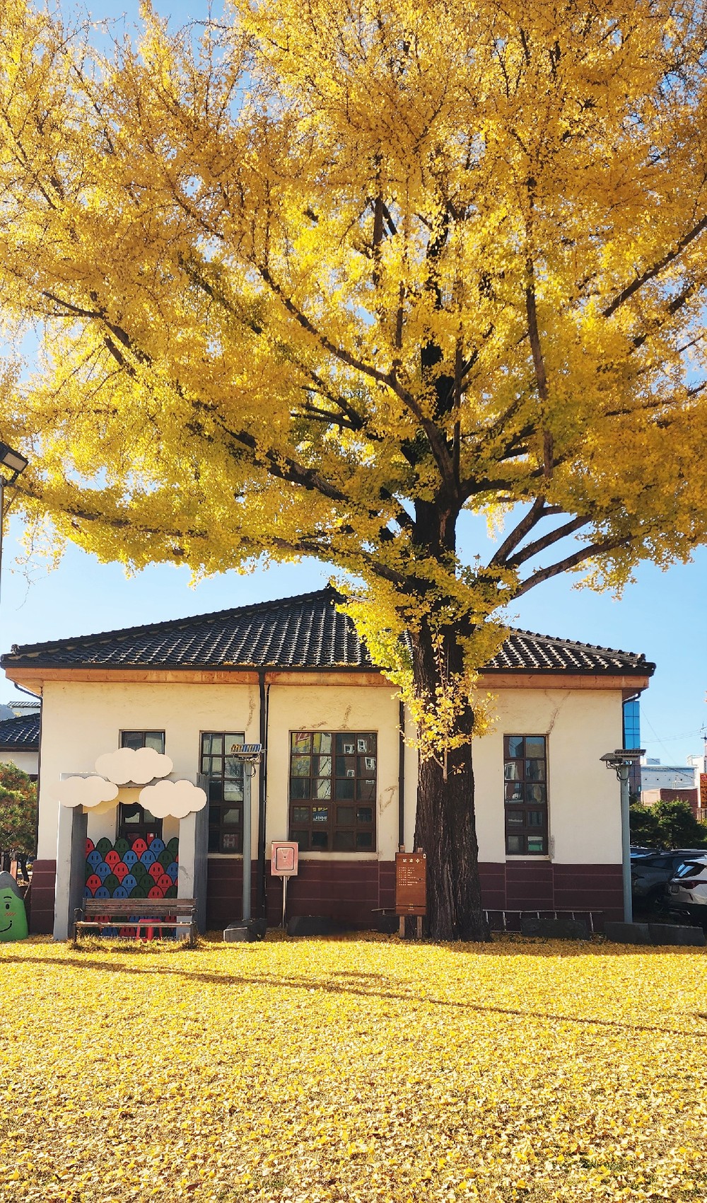 광양시, 황금빛으로 물든 ‘광양역사문화관’ 방문해 보세요