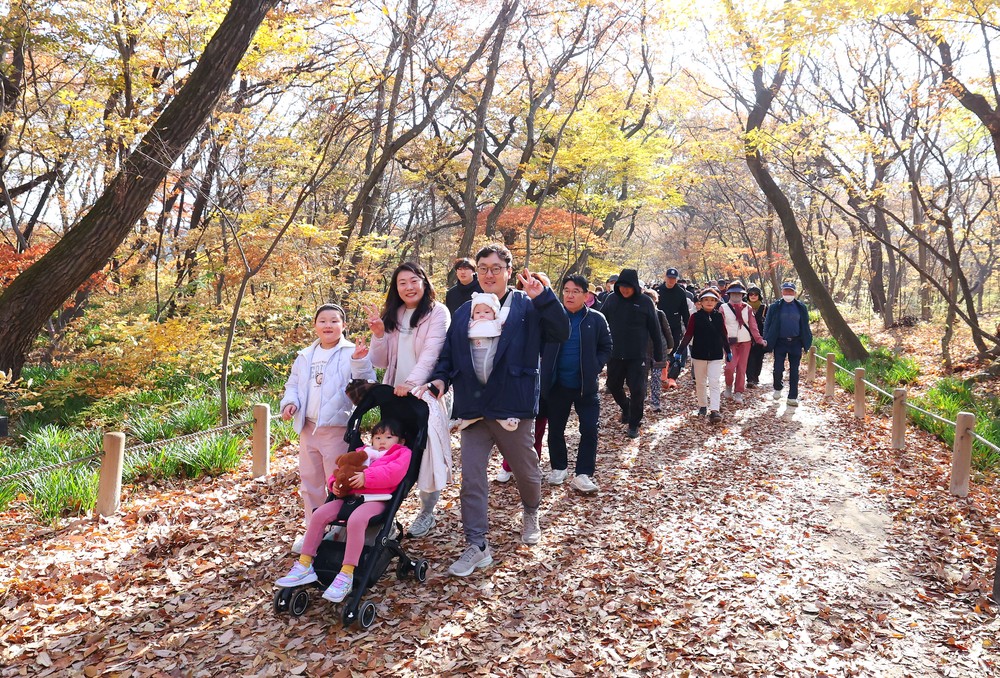 걷기와 문화의 성공적 결합… ‘함양에서 상림 PLAY’ 지역경제 활력 견인