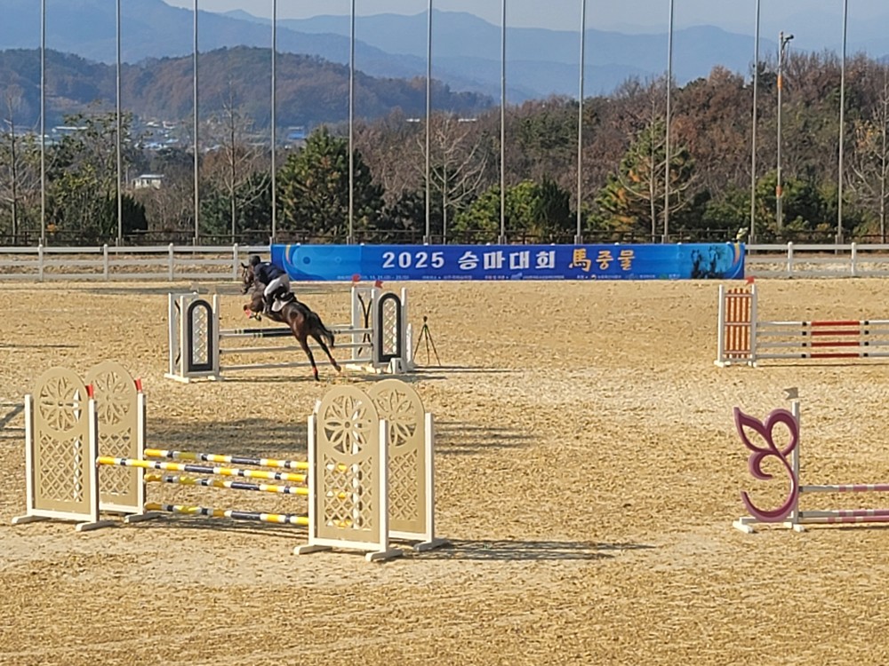 2025 승마대회 馬중물 개최