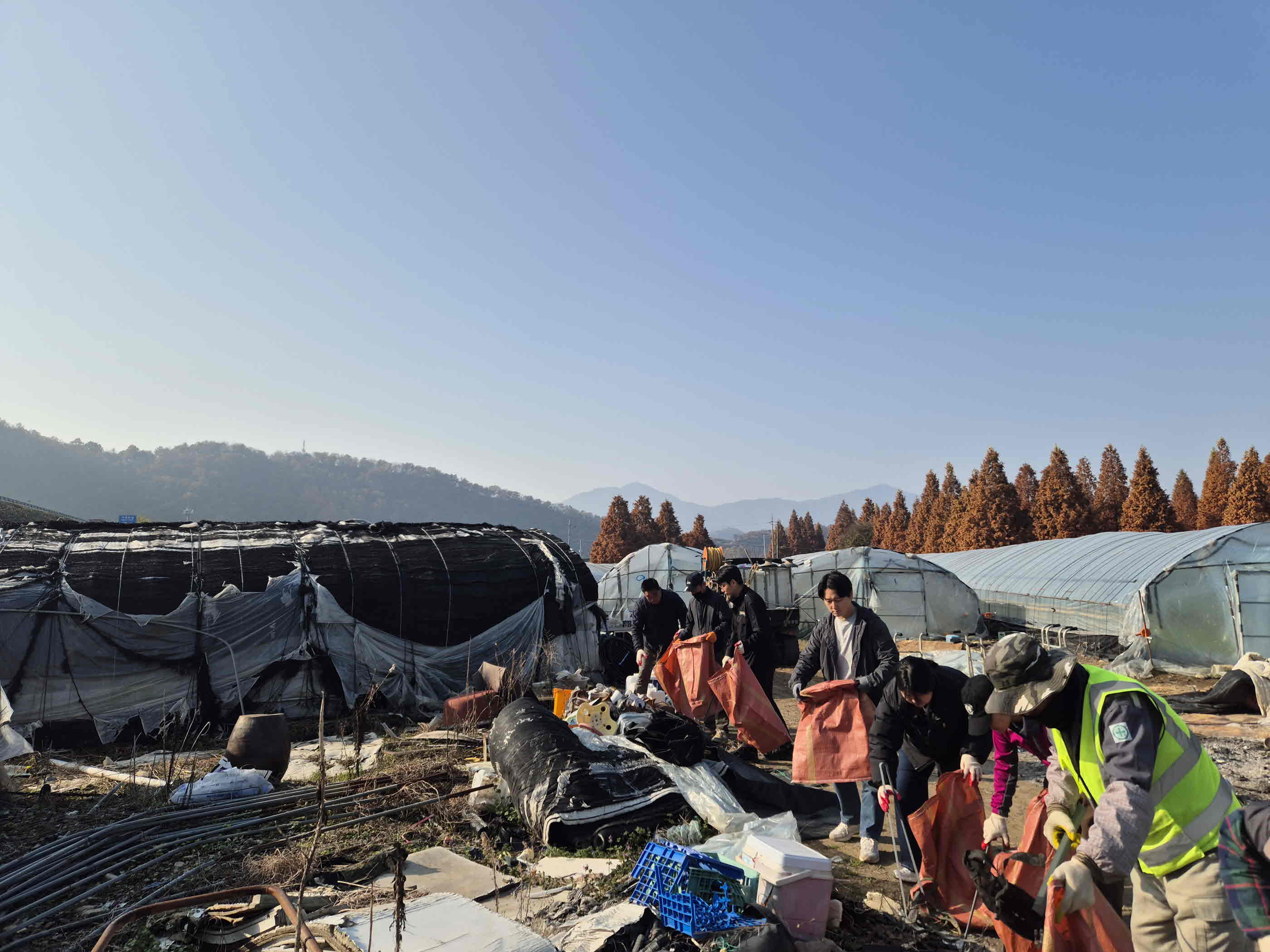 밀양시 내일동, 겨울 대비 국토대청결운동 실시
