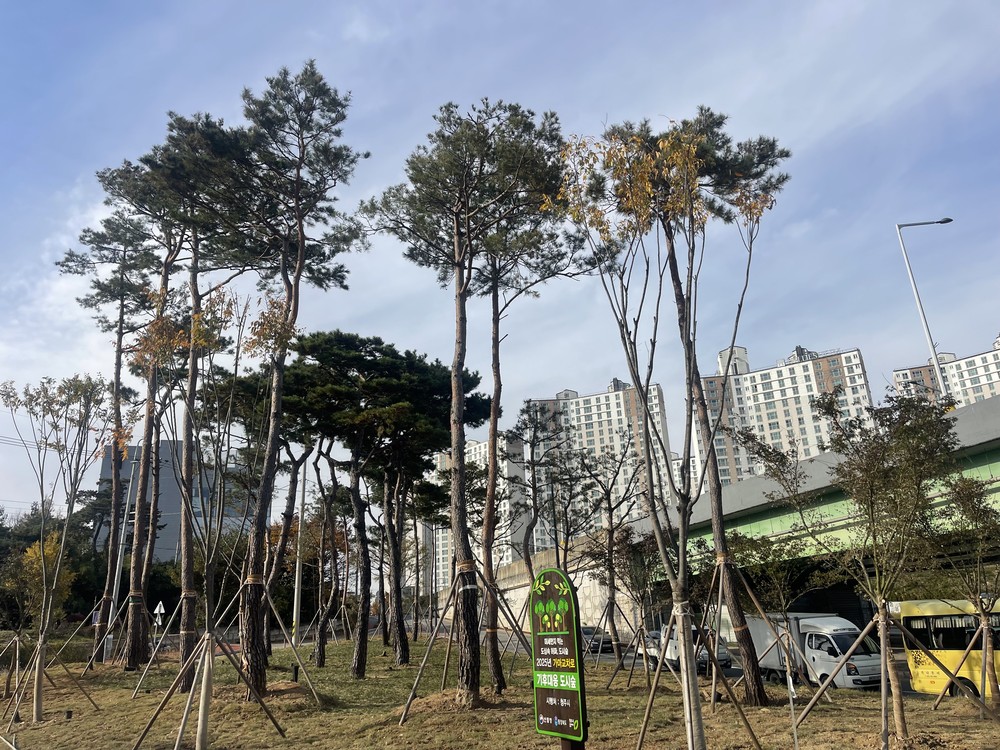 청주시, 도시숲 조성 2개소서 완료… 열섬완화‧미세먼지 저감 기대