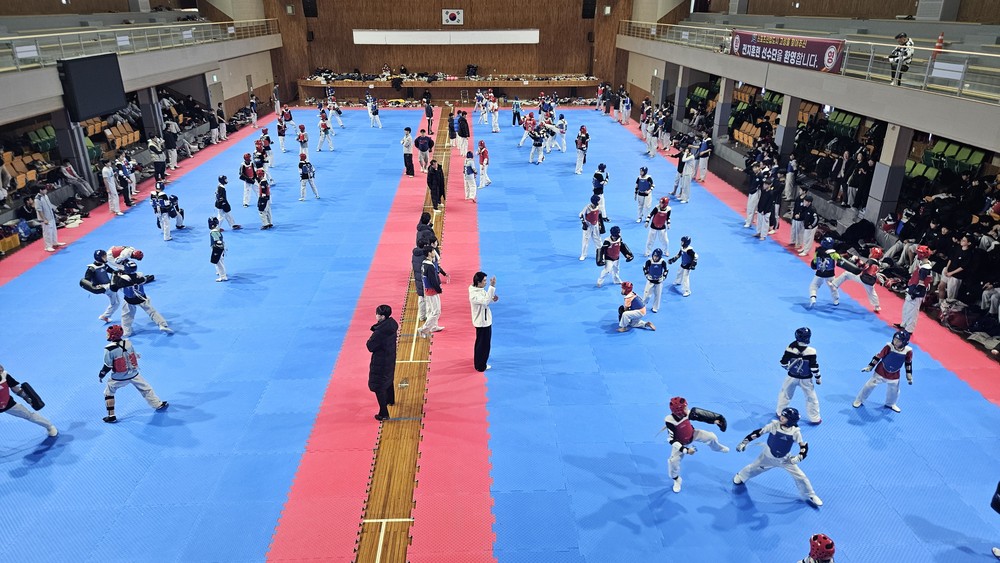 고성군, 2026 동계 전지훈련 준비 박차