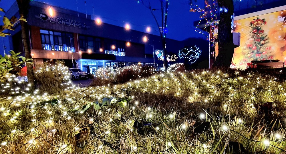 함평 겨울빛축제 성공 기원 트리 점등식 성료