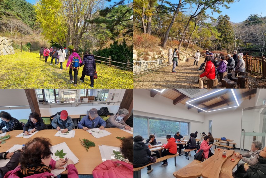 부산 서구, 치매 환자 및 가족 대상 '마음온도 높이기-숲속 쉼표' 힐링 프로그램 운영