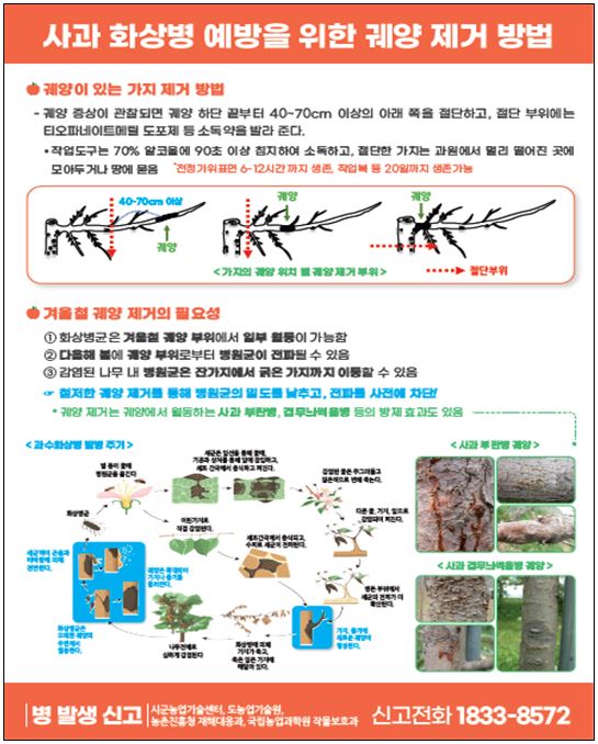 광양시, 철저한 과원 관리로 과수화상병 사전 예방 당부