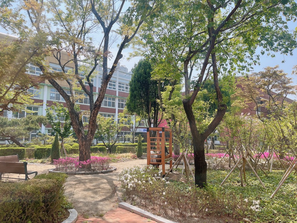 대구 중구, 산림청 ‘2025 녹색도시 우수사례’ 공모서 학교숲 분야 최우수상 수상