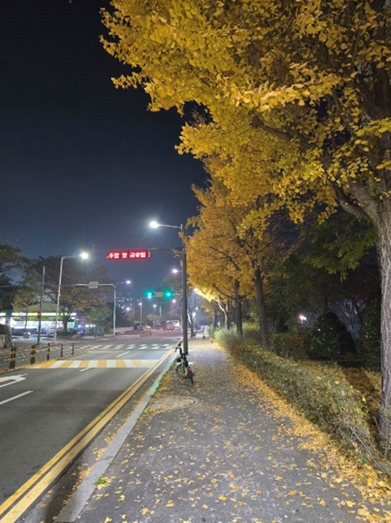 통학길‧산책길 밝아졌다…의정부시, 보행등 97개로 야간안전 강화
