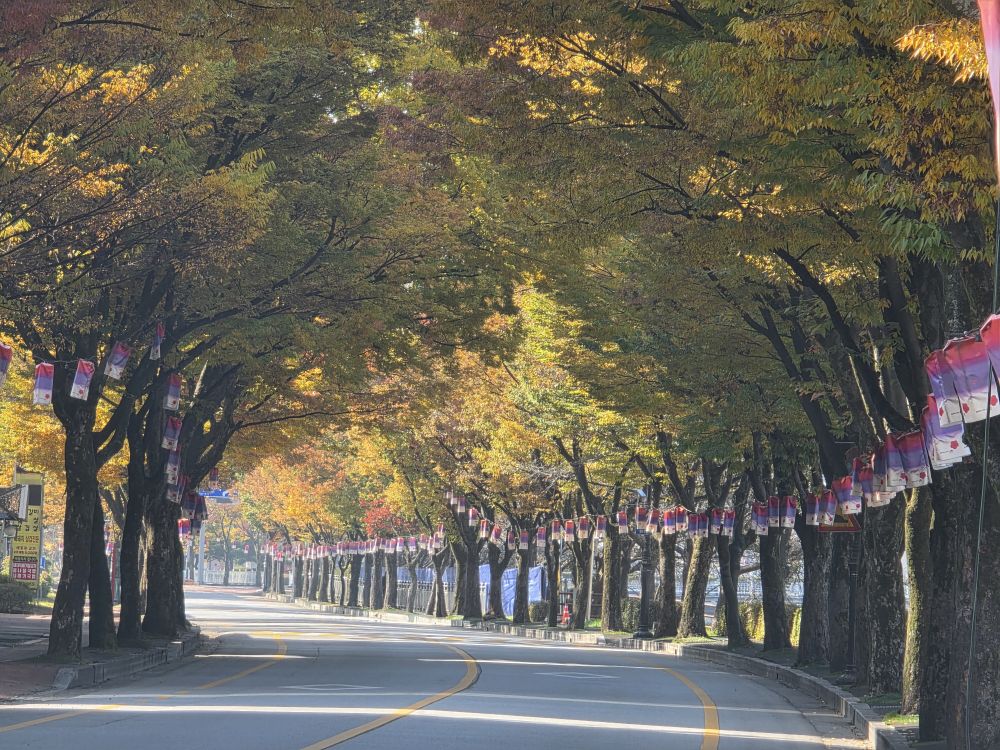 남원시 ‘도시바람길숲 조성사업’ 공모 선정