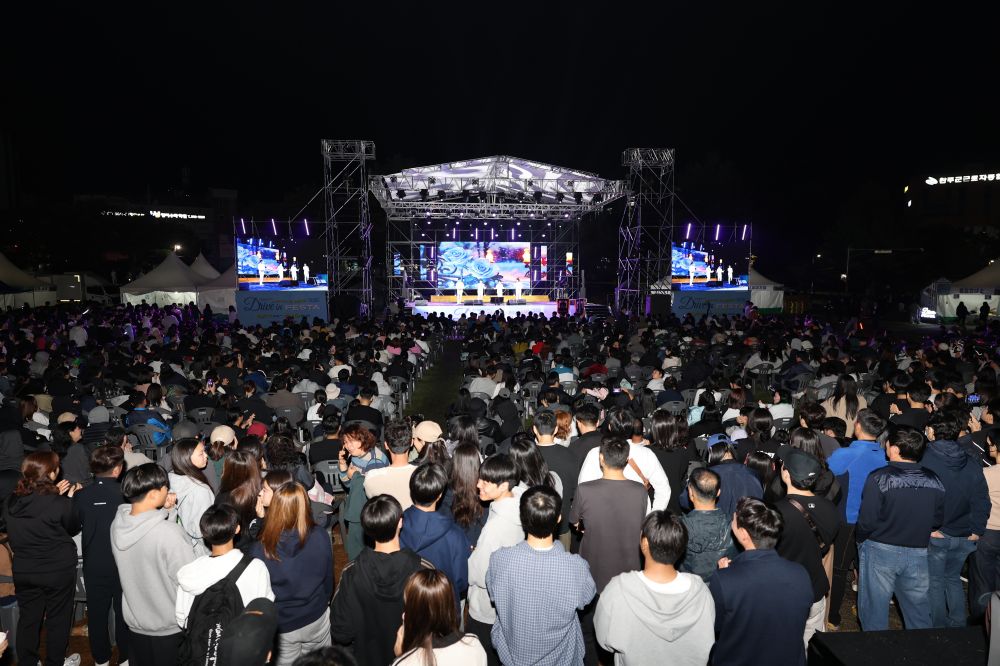 지역 상생 문화축제 드라이브 인 페스타, 안전관리 이상無